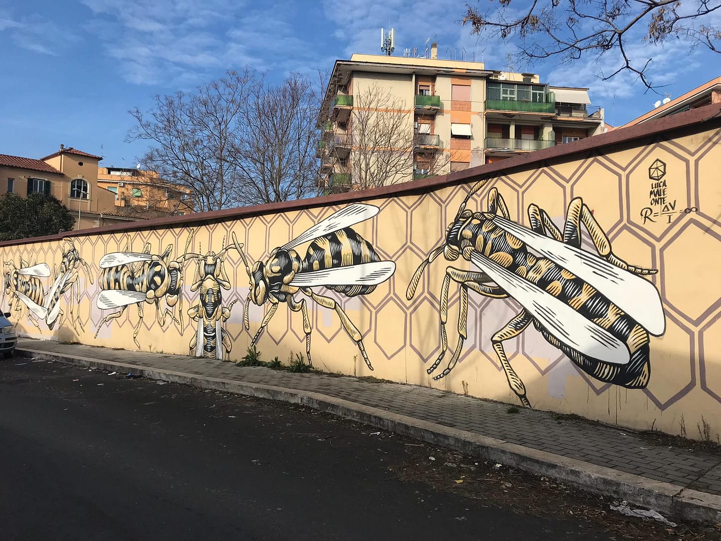 Sveja - Sveja LucameleonteGranoMuro - Sveja